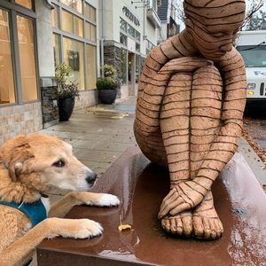 Meet your Posher, Janjan